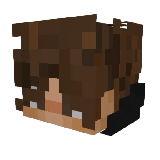 Djnick2310 Minecraft avatar head, 3D render