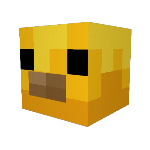 DjoMC Minecraft avatar head, 3D render