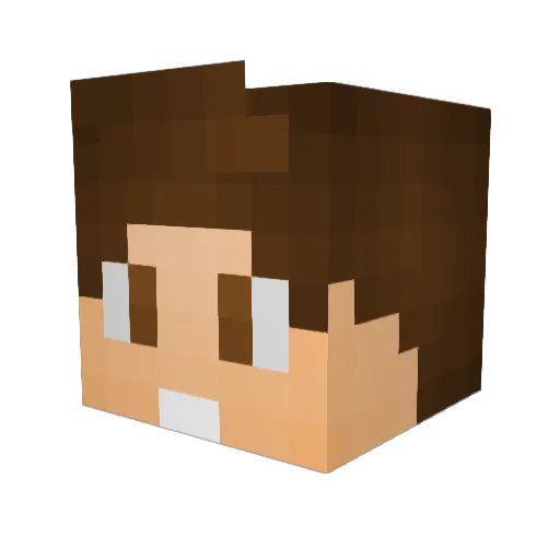 DjoleGamer Minecraft avatar head, 3D render