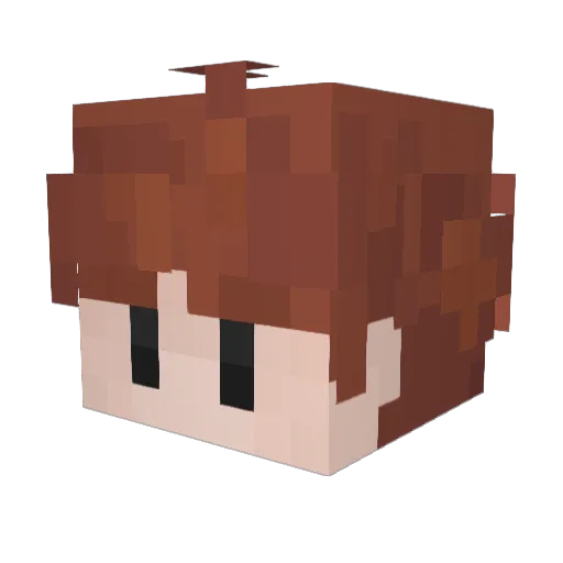 Djoopie Minecraft avatar head, 3D render