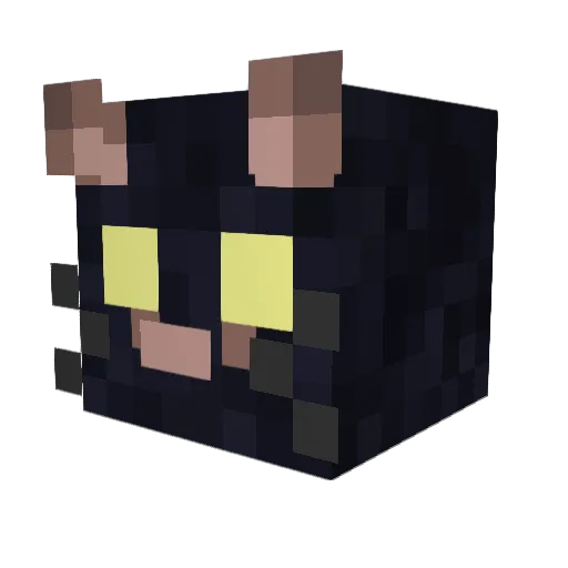Djray221 Minecraft avatar head, 3D render