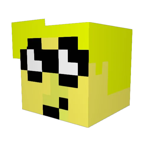 Djruixp Minecraft avatar head, 3D render