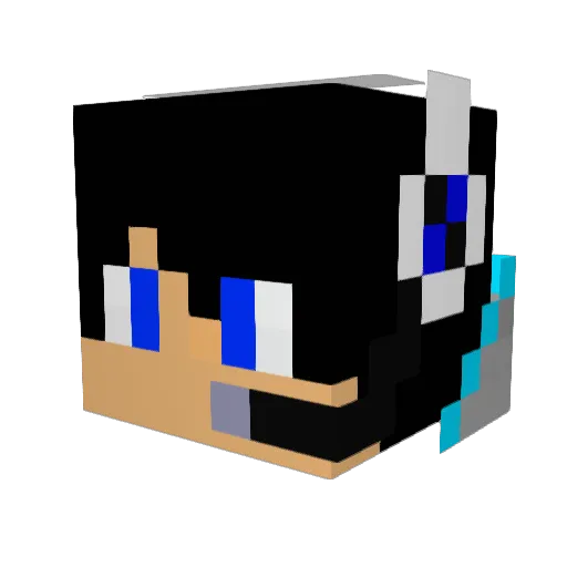 Djtron10 Minecraft avatar head, 3D render