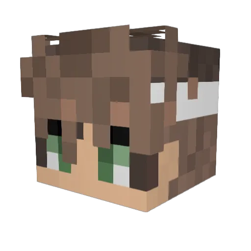 DjuulZz Minecraft avatar head, 3D render