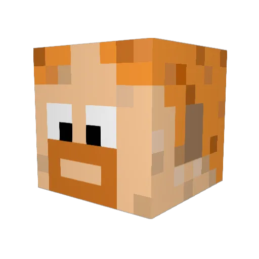 Djwise Minecraft avatar head, 3D render