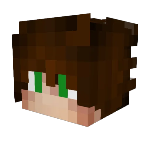 Djydji Minecraft avatar head, 3D render