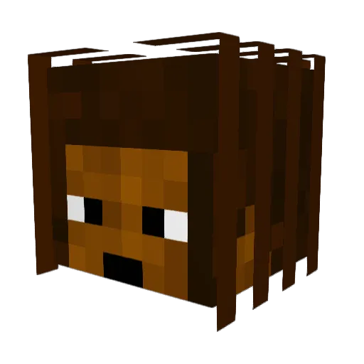 Djyoung1078 Minecraft avatar head, 3D render