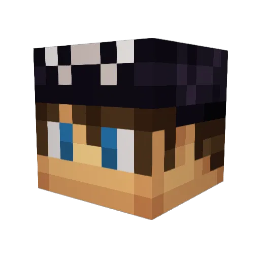 Dk2406 Minecraft avatar head, 3D render