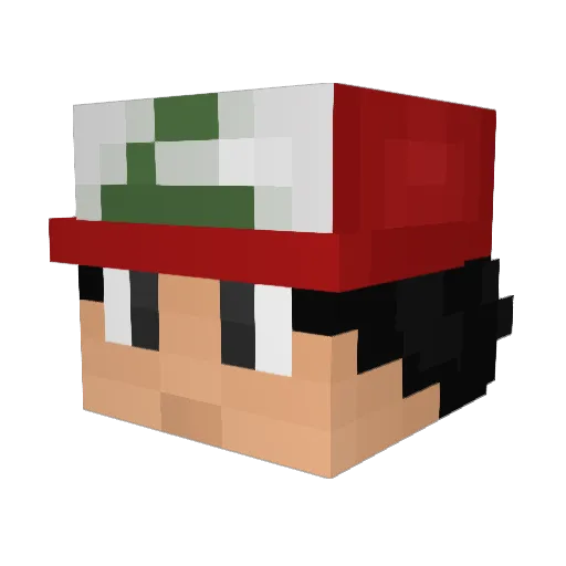 Dk973 Minecraft avatar head, 3D render