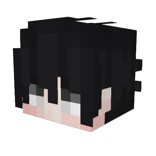 Dk_Flozzz Minecraft avatar head, 3D render
