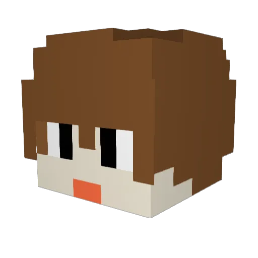Dk_night Minecraft avatar head, 3D render