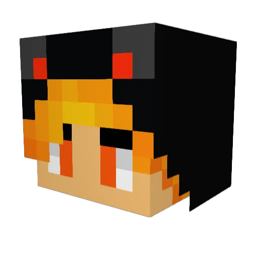 Dking20 Minecraft avatar head, 3D render