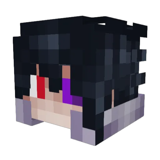 Dkr1303 Minecraft avatar head, 3D render