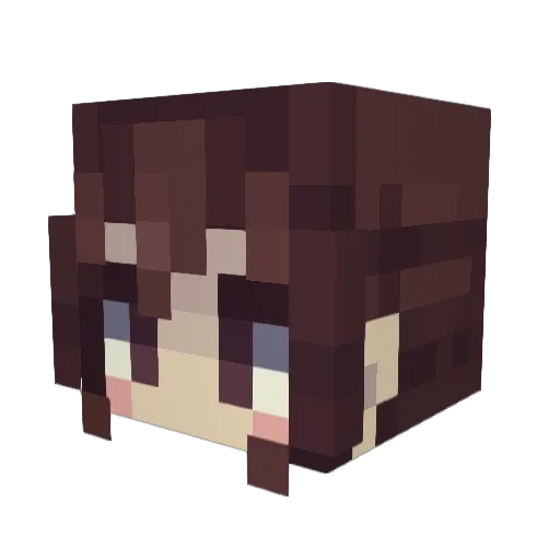 DlDDl Minecraft avatar head, 3D render