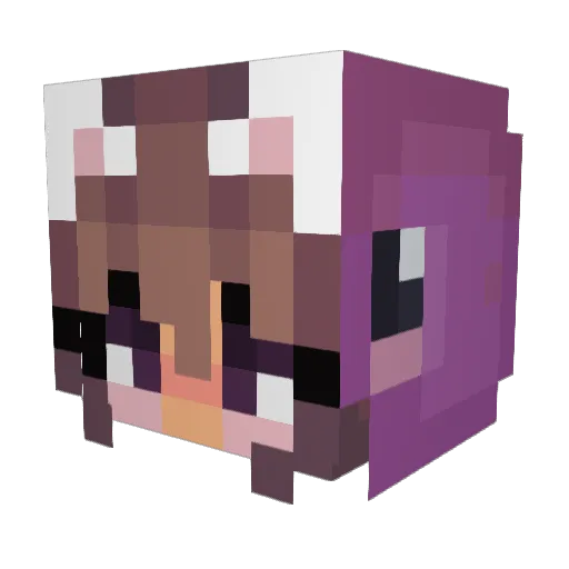DlNK_FINKLER Minecraft avatar head, 3D render