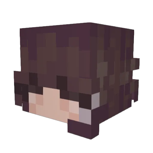 DlVl Minecraft avatar head, 3D render