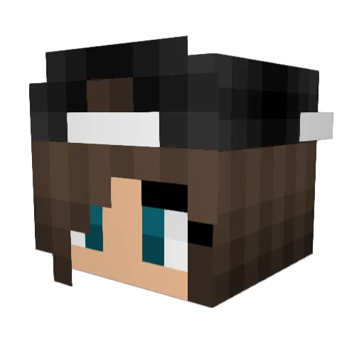 DlaJ Minecraft avatar head, 3D render