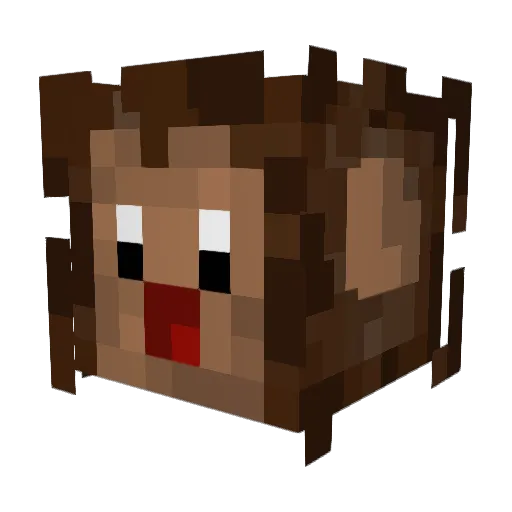 Dlans14 Minecraft avatar head, 3D render
