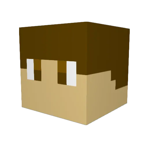 Dleon31 Minecraft avatar head, 3D render