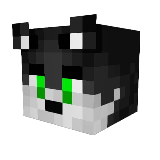 DlikeDragon Minecraft avatar head, 3D render