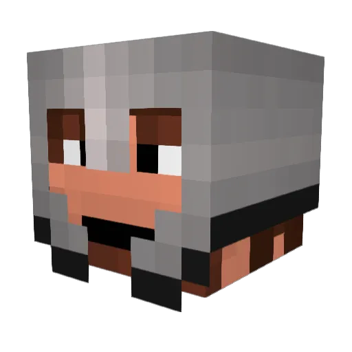 Dlnv Minecraft avatar head, 3D render