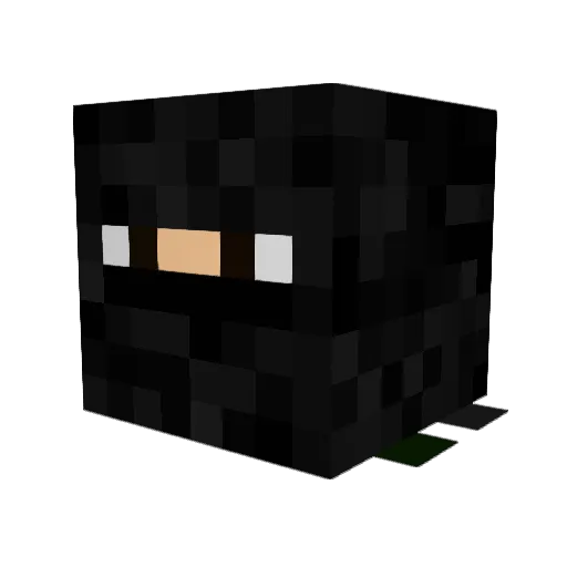 Dlocke Minecraft avatar head, 3D render