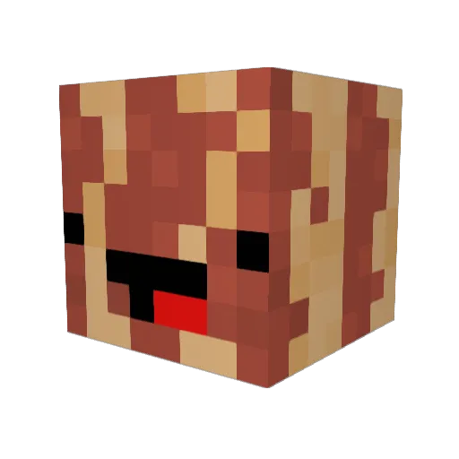 Dloonk Minecraft avatar head, 3D render