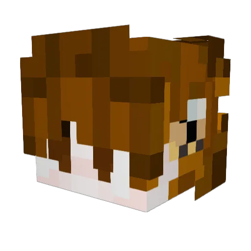 Dlopz0_0 Minecraft avatar head, 3D render