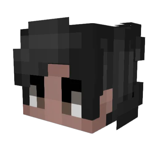 Dloxy_Oxy Minecraft avatar head, 3D render