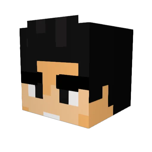 Dman0829 Minecraft avatar head, 3D render