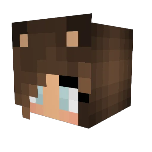 DmanL Minecraft avatar head, 3D render