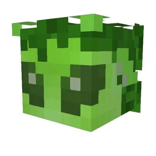 Dmandude07 Minecraft avatar head, 3D render