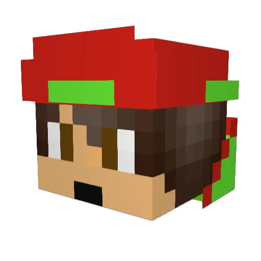 Dmaster12345 Minecraft avatar head, 3D render