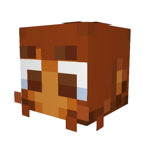 Dmg721 Minecraft avatar head, 3D render