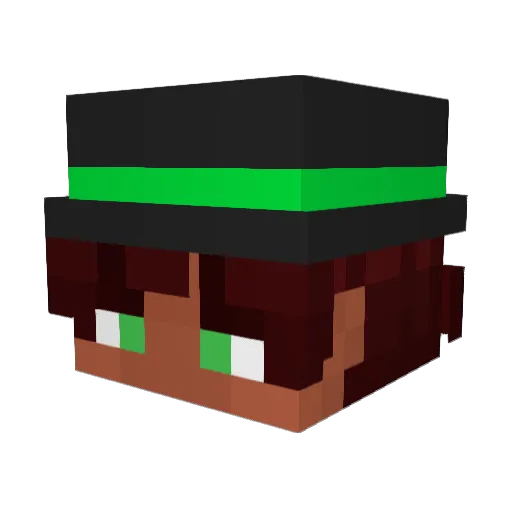 Dmgamer7155 Minecraft avatar head, 3D render