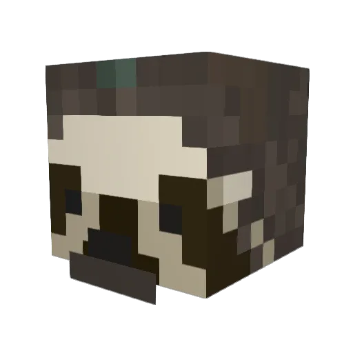 Dmie62 Minecraft avatar head, 3D render