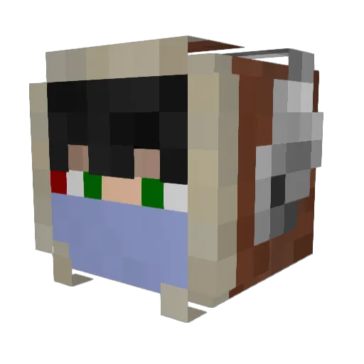 DmitriSobaka Minecraft avatar head, 3D render