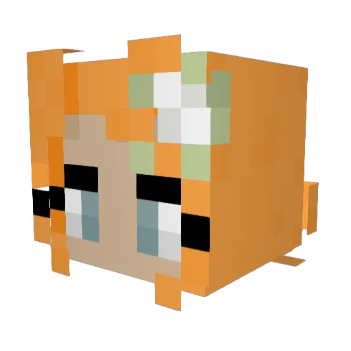 Dmj1611 Minecraft avatar head, 3D render