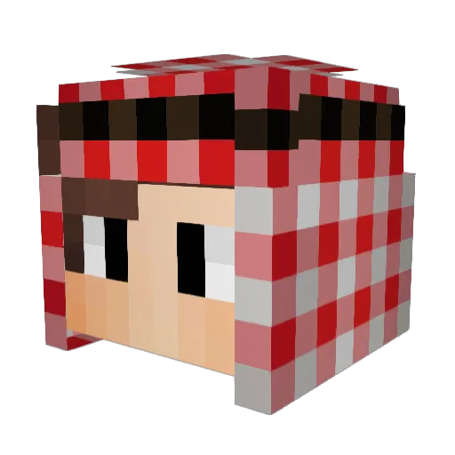Dmm07 Minecraft avatar head, 3D render