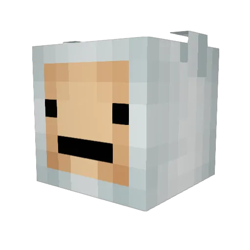 Dmoney111 Minecraft avatar head, 3D render