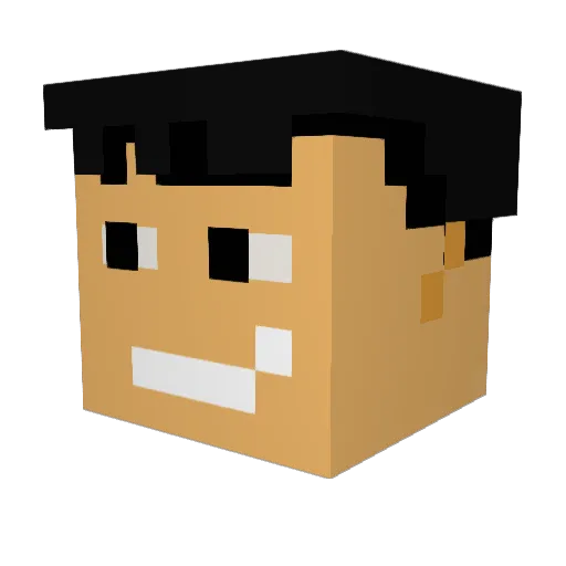 Dmr_14 Minecraft avatar head, 3D render