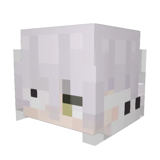 Dmrl0812 Minecraft avatar head, 3D render