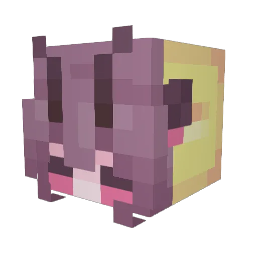 Dmsteele Minecraft avatar head, 3D render