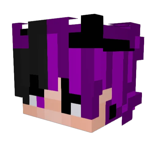DmxPlays Minecraft avatar head, 3D render