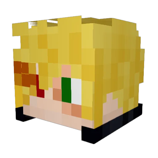 DnShn55 Minecraft avatar head, 3D render