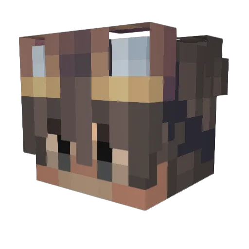 DnX0 Minecraft avatar head, 3D render