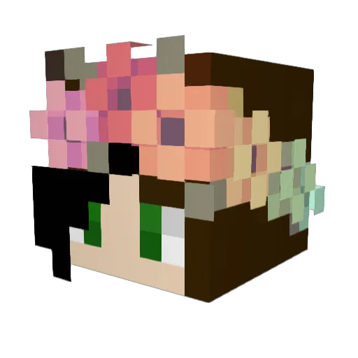 DndBri6 Minecraft avatar head, 3D render