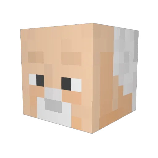 DnjerJunky59 Minecraft avatar head, 3D render