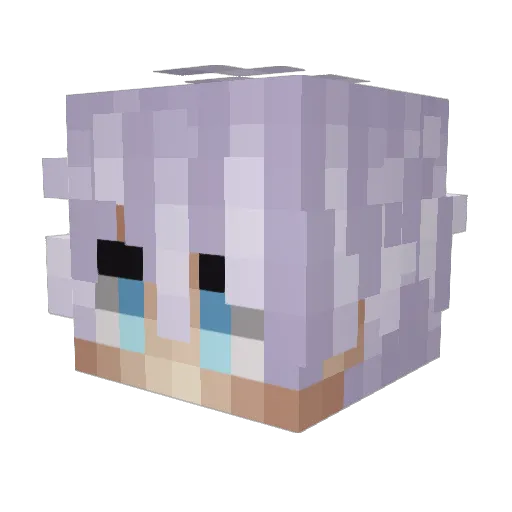 Dnkii Minecraft avatar head, 3D render
