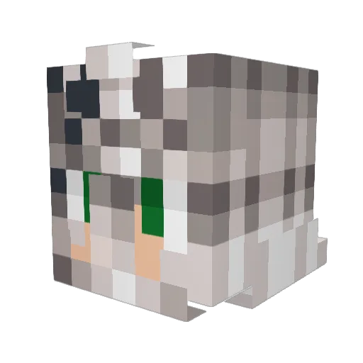 Dnoxz Minecraft avatar head, 3D render